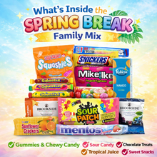 Spring Break Family Mix Bundle – 15 Count Assorted Variety Pack