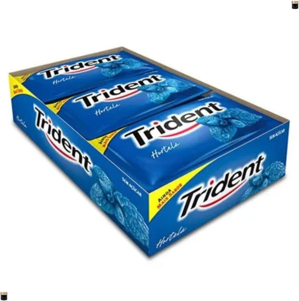 TRIDENT BLUE MINT CHEWING GUM 168g (BRAZIL)